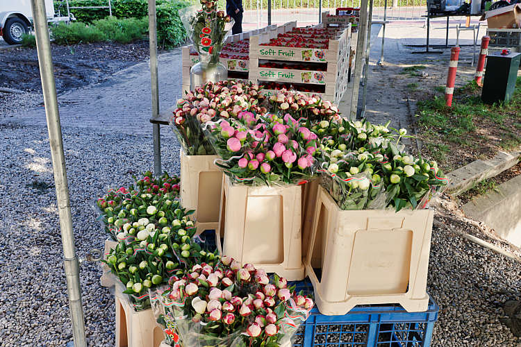 Rommelmarkt 2022 Waarder_030